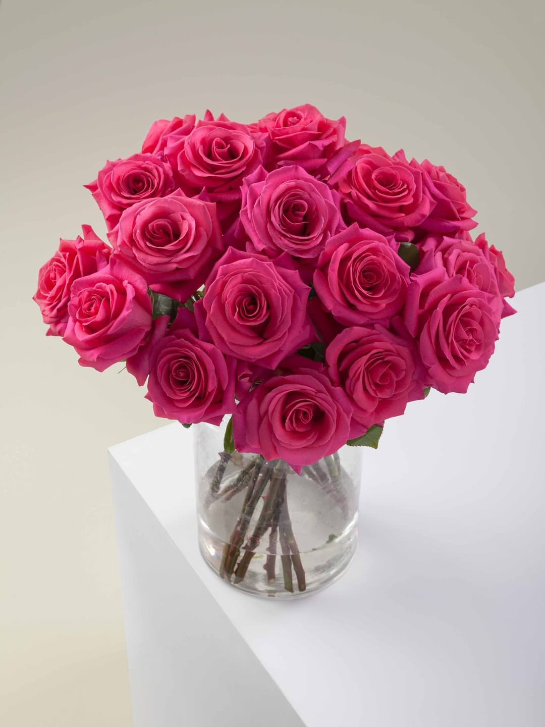 Roses Pink Floyd