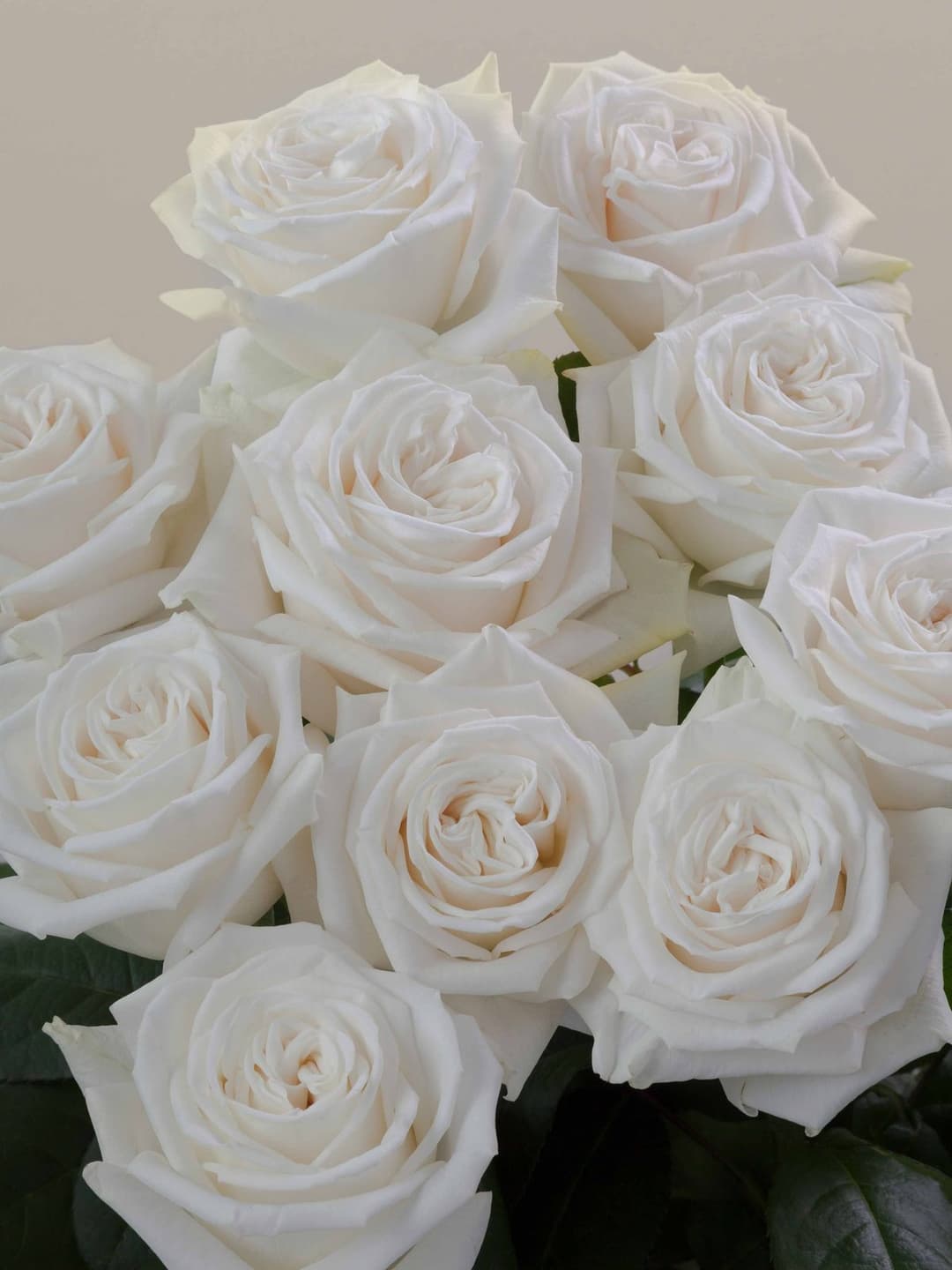 Roses Playa Blanca