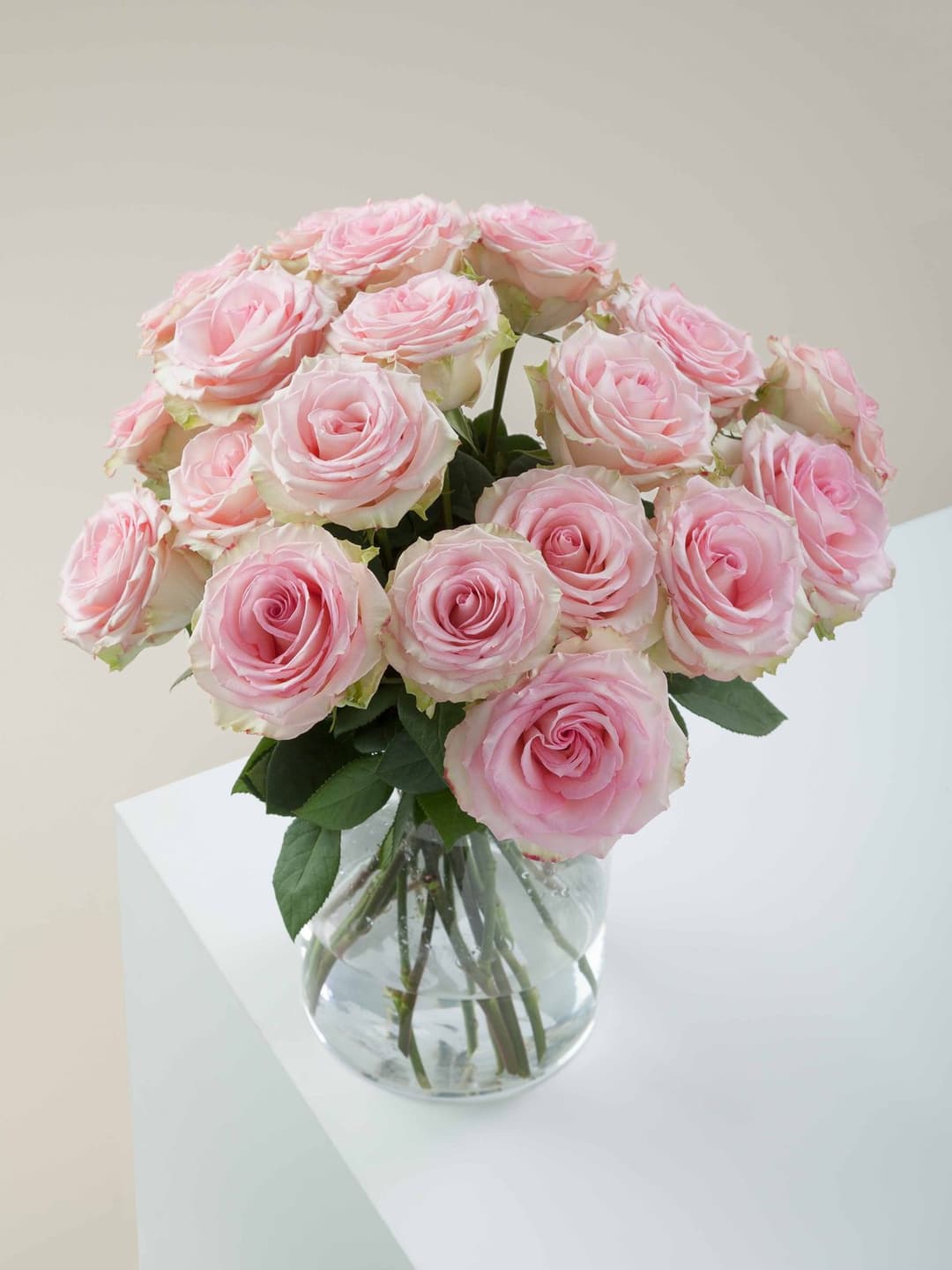 Roses Esperance