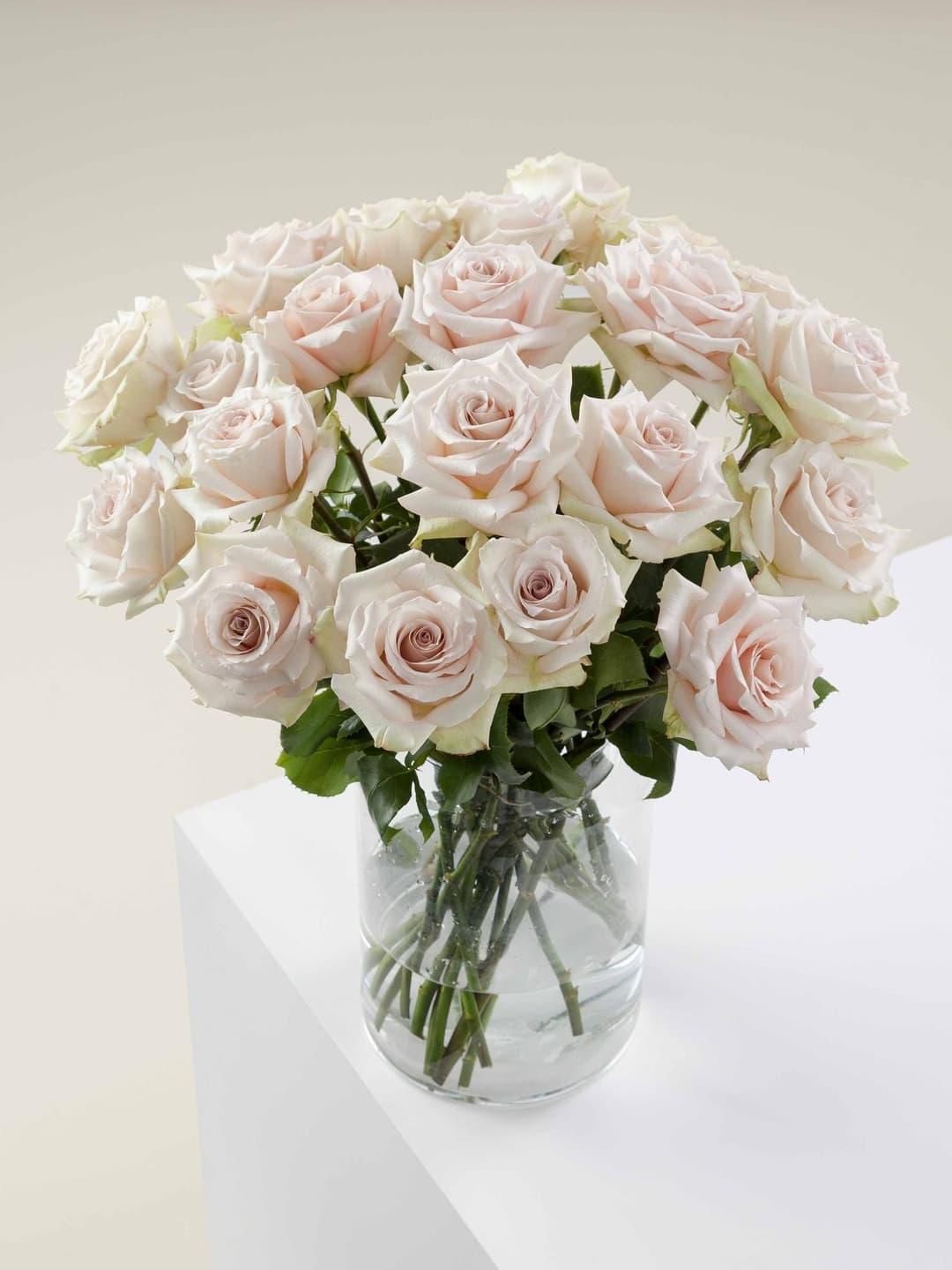 Roses Beige Quicksand